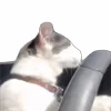 🚗