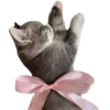 🎀
