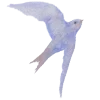 🕊️