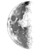 🌙