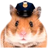 👮‍♀️