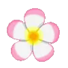 🌸