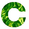 🫱
