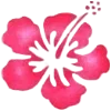 🌺
