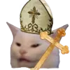 🫤
