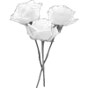 🌹