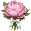 🌷