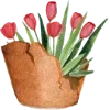 🌷