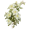 🌼