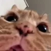 😳