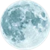 🌙