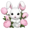 🐰