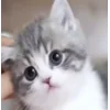 😕