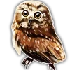 🦉