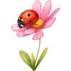 🌸