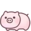 🐷