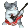 🐱