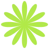 ✳️