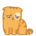 😞