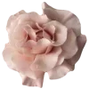 🌸
