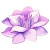 🌸