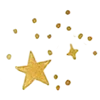 ✨