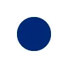 🔵