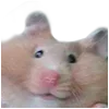 🙂