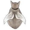 🐈