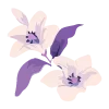 🪻