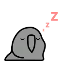 😴