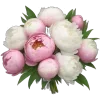 💐
