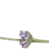 😀