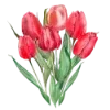 🌹