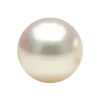 🐚