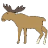 🦌