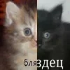 😱