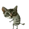 🤩