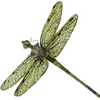 🦋