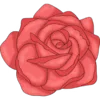🌹