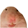 😆