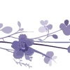 🪻