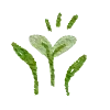 🌱