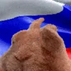 🇷🇺