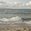 🌊