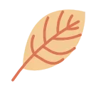 🍃