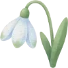 🌷