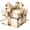🎁