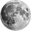 🌙