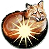 🦊